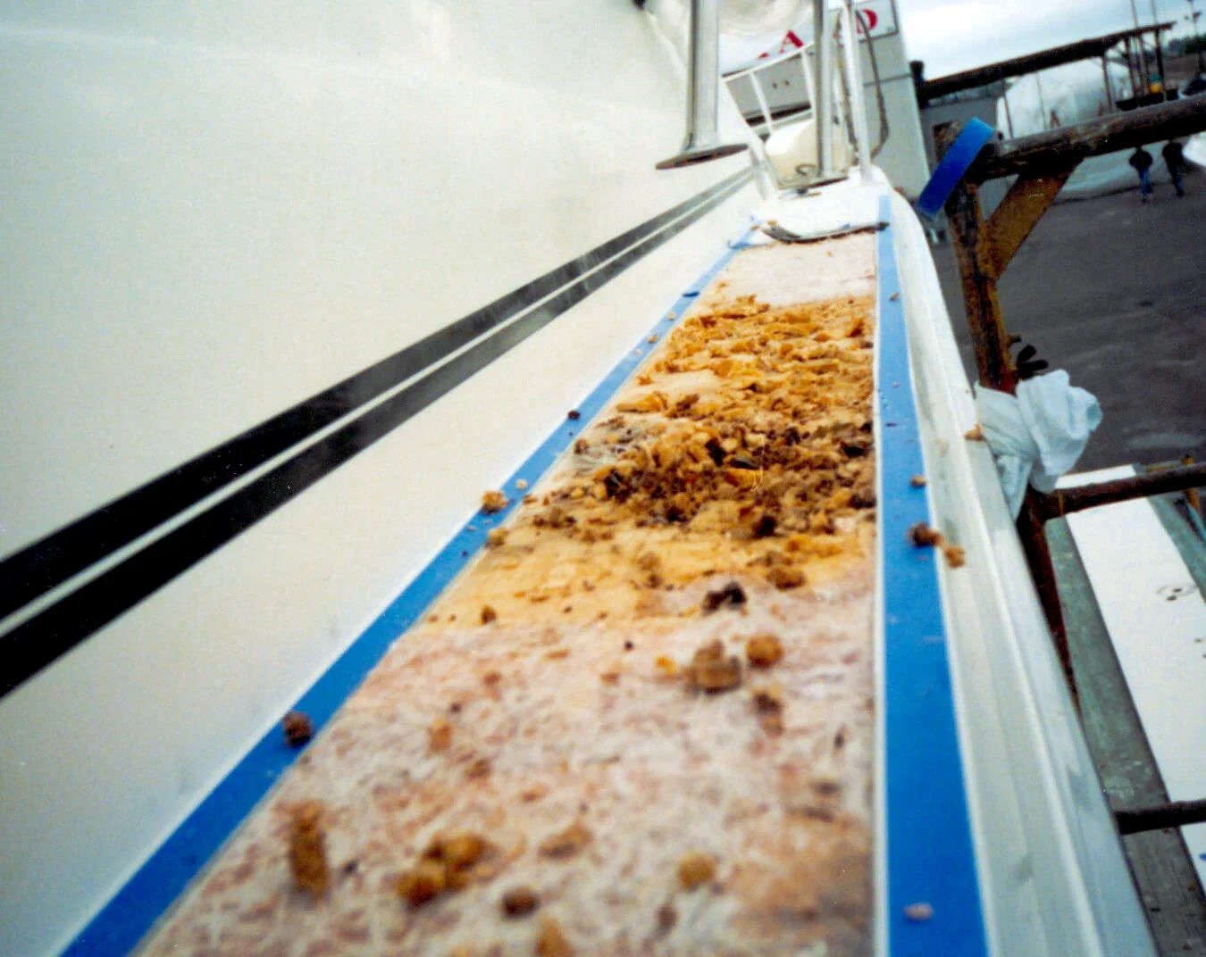 A close-up of a boat's edge, showing a buildup of organic debris and sediment along the rail, indicating neglect or wear.